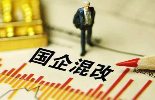 积极有序推进新时代国有企业混合所有制改革